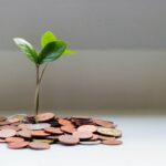 كيف تربح المال باستخدام الذكاء الاصطناعي كيف تربح المال باستخدام الذكاء الاصطناعي