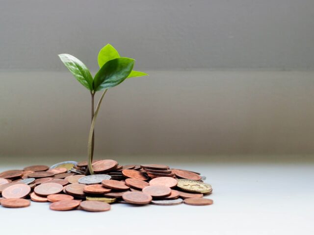 كيف تربح المال باستخدام الذكاء الاصطناعي