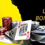 Discover Exciting Offers and Login Details at Puntit Casino in the UK premium puntit united kingdom.jpg