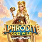 premium casino united kingdom.jpg